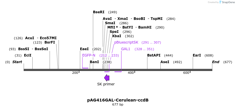 21102_map