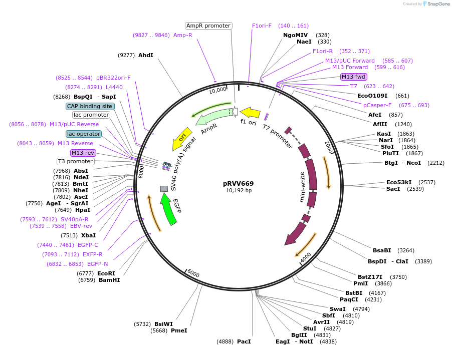 211020_map