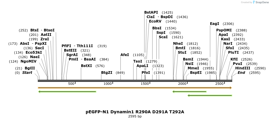 211028_map