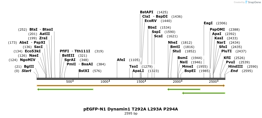 211030_map