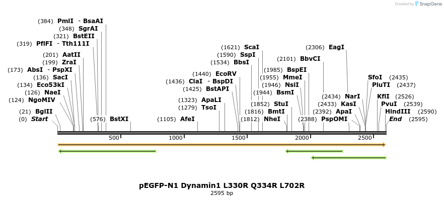 211032_map