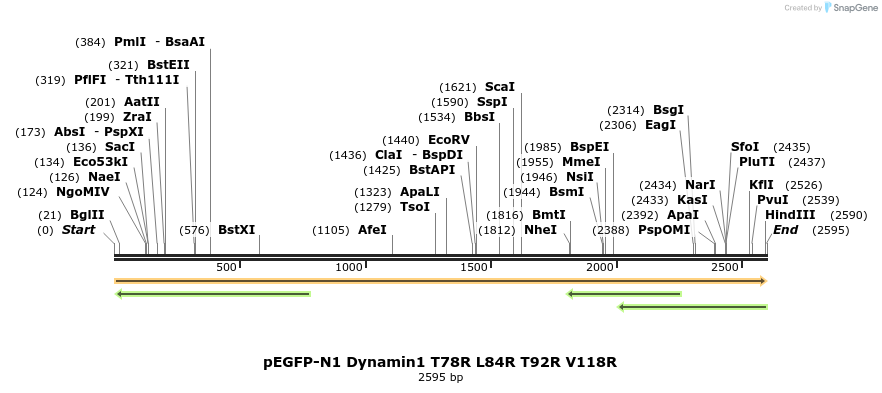 211034_map