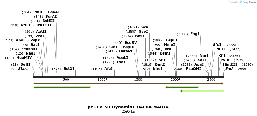211036_map