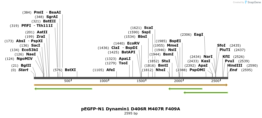211042_map
