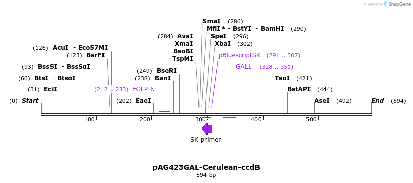 21106_map