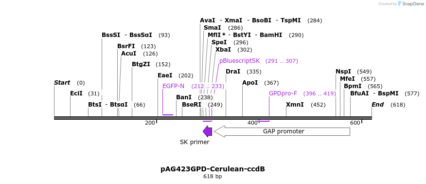21108_map