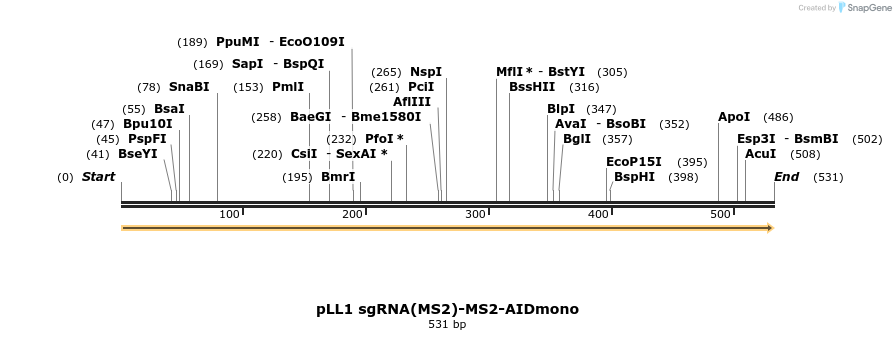 211089_map