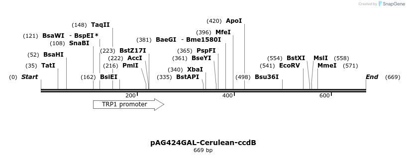 21109_map