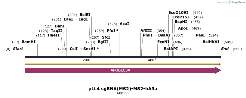 211095_map