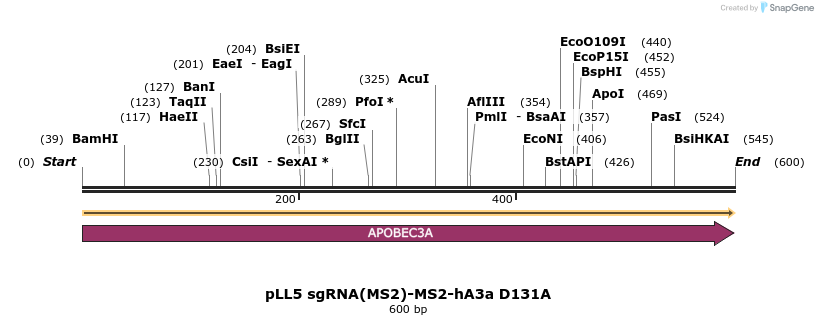 211097_map