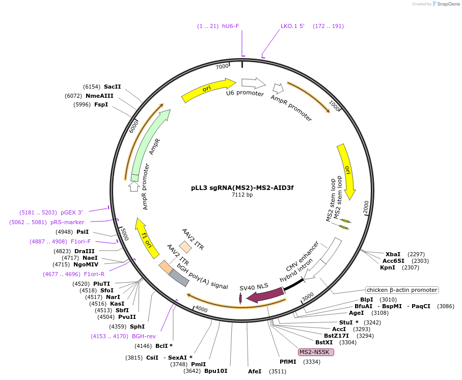 211105_map