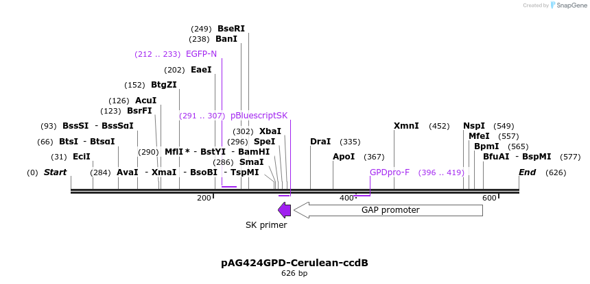 21112_map