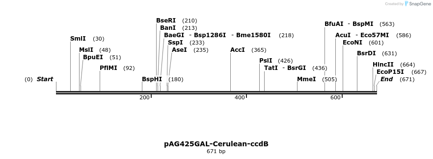 21113_map