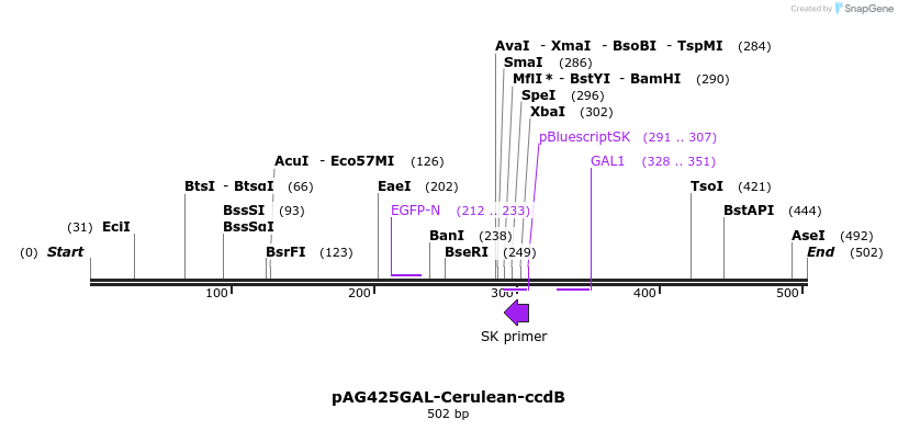 21114_map