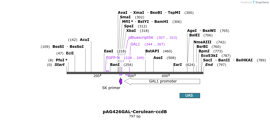 21117_map