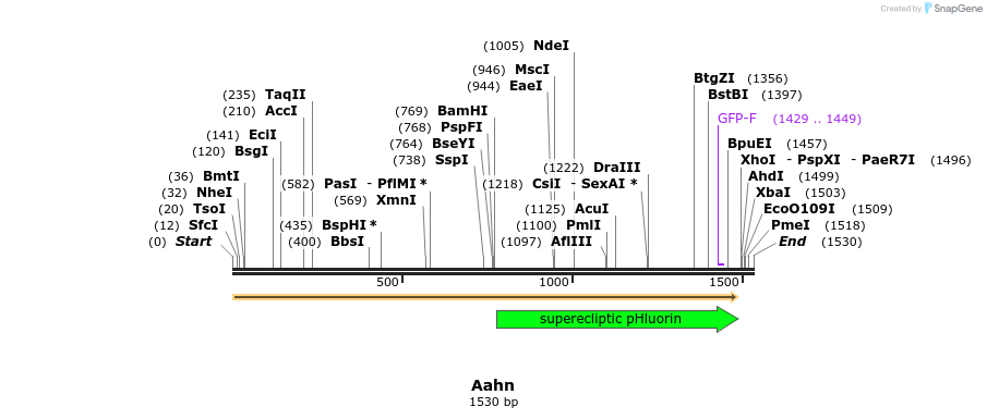 211196_map