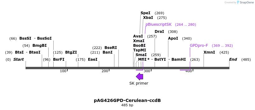 21120_map