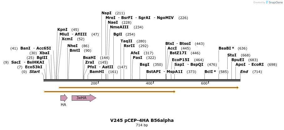 21122_map