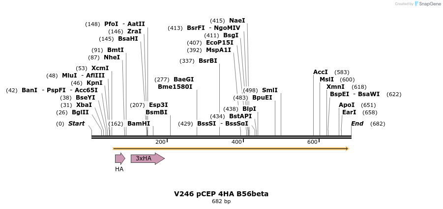 21123_map