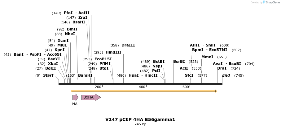21124_map