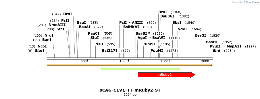 211249_map