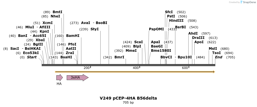 21126_map