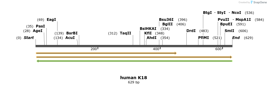 21128_map