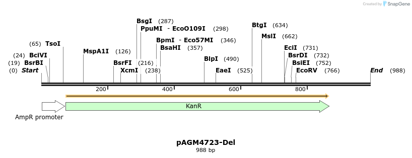 211308_map