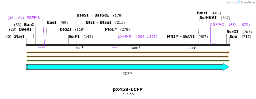 211358_map