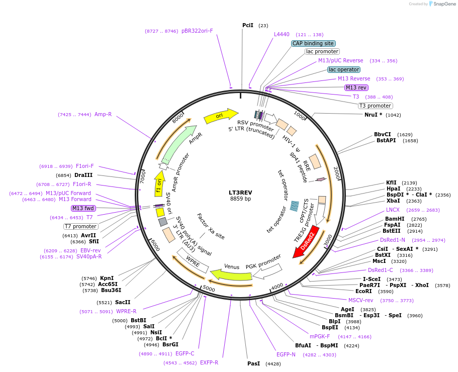 211514_map