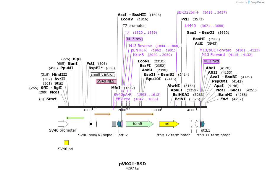 211551_map