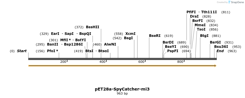 211555_map