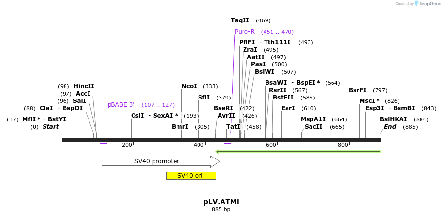 21156_map