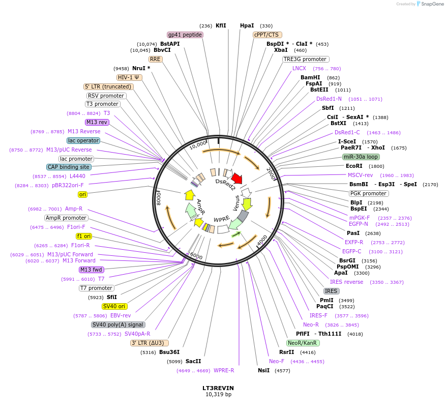 211560_map