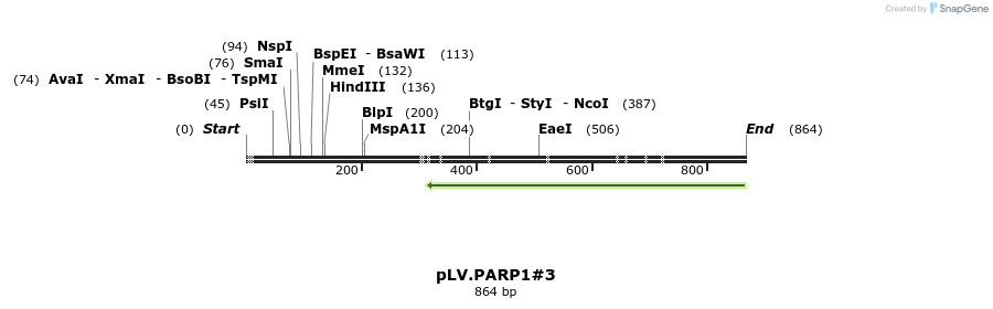 21161_map