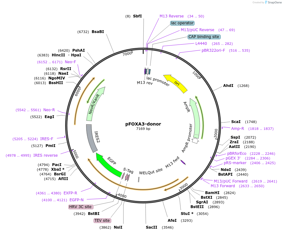 211712_map
