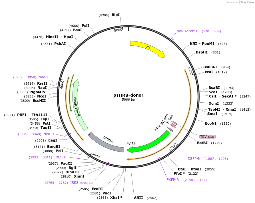 211724_map