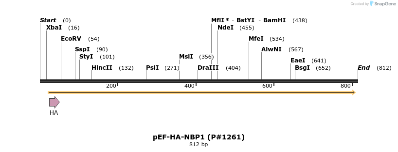 21174_map