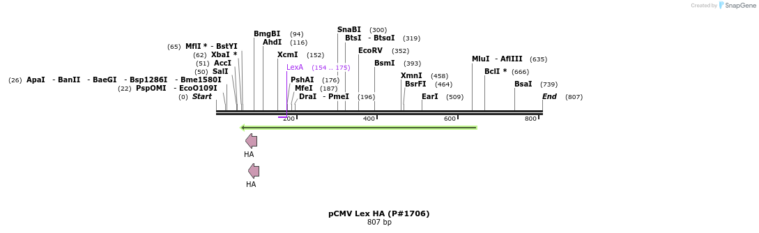 21180_map