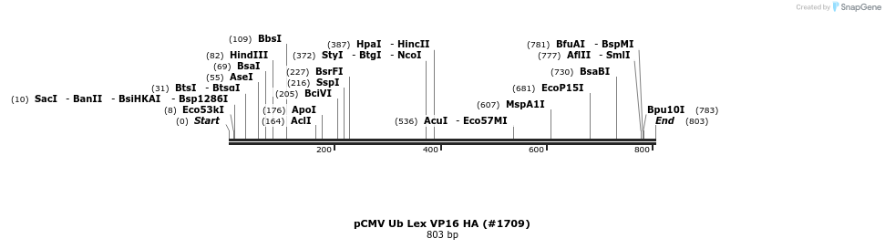 21183_map