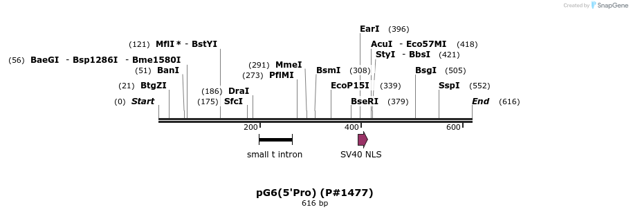 21202_map