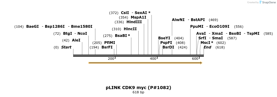 21203_map