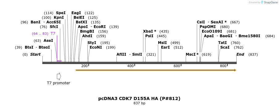 21207_map