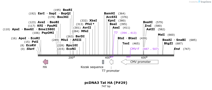 21213_map