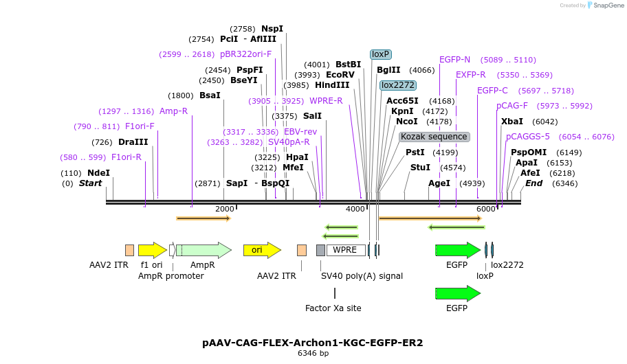 212137_map
