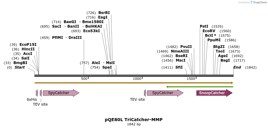 212140_map