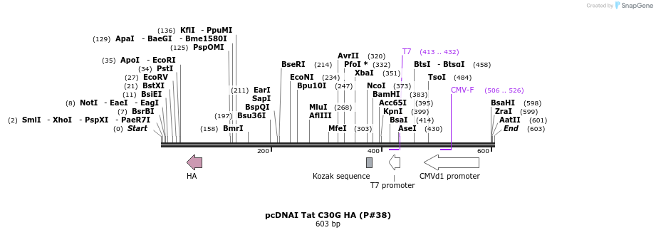 21215_map