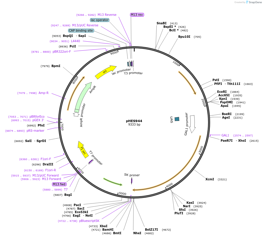 212181_map