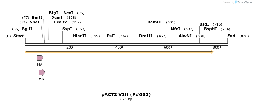 21219_map