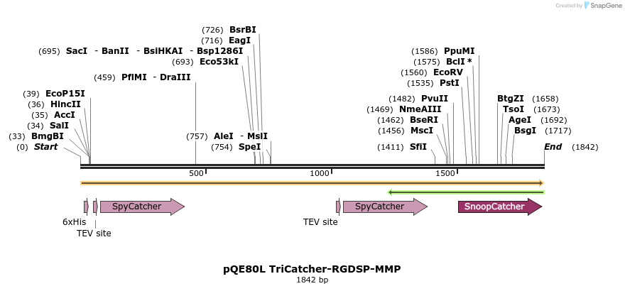 212190_map